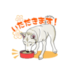 紀州犬のスタンプ（個別スタンプ：4）