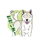 紀州犬のスタンプ（個別スタンプ：20）