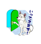 紀州犬のスタンプ（個別スタンプ：23）