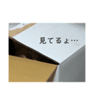 うちの家族(1部)（個別スタンプ：6）