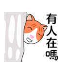 KITTEN MUMU（個別スタンプ：34）