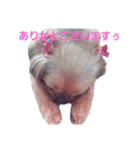 ラブず,アニマル（個別スタンプ：7）