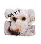 ぶさプークオン2（個別スタンプ：3）