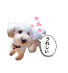 ぶさプークオン2（個別スタンプ：4）
