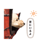 ぶさプークオン2（個別スタンプ：5）