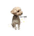 ぶさプークオン2（個別スタンプ：8）
