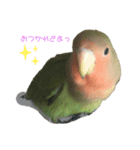 可愛いこまめスタンプ（個別スタンプ：8）