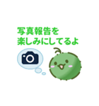 藻のかたまり（個別スタンプ：27）