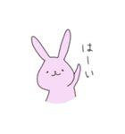 うさぎのぽち 3（個別スタンプ：1）