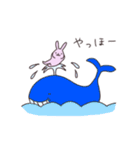 うさぎのぽち 3（個別スタンプ：7）