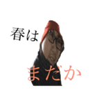 トウタニ2！！！！！（個別スタンプ：5）