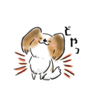 犬語ずかん【パピヨン編】（個別スタンプ：4）