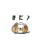 犬語ずかん【パピヨン編】（個別スタンプ：14）