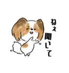 犬語ずかん【パピヨン編】（個別スタンプ：16）