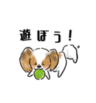 犬語ずかん【パピヨン編】（個別スタンプ：19）