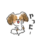 犬語ずかん【パピヨン編】（個別スタンプ：20）