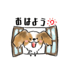 犬語ずかん【パピヨン編】（個別スタンプ：21）