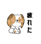 犬語ずかん【パピヨン編】（個別スタンプ：23）