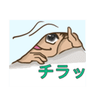 あおちゃん·リュリュー日常スタンプ（個別スタンプ：24）
