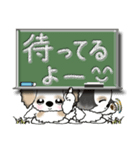 【大きめ文字】シーズー犬(普段使う言葉)30（個別スタンプ：26）