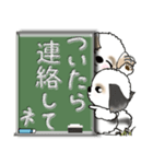 【大きめ文字】シーズー犬(普段使う言葉)30（個別スタンプ：29）