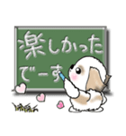 【大きめ文字】シーズー犬(普段使う言葉)30（個別スタンプ：30）