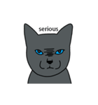 無心の猫の黒い - Kka Mang (英語)（個別スタンプ：20）