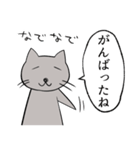 にゃんこスタンプ！（個別スタンプ：30）