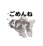 手描きの動物（個別スタンプ：2）