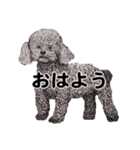 手描きの動物（個別スタンプ：3）