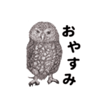 手描きの動物（個別スタンプ：4）