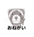 手描きの動物（個別スタンプ：8）