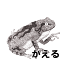 手描きの動物（個別スタンプ：11）
