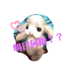 ウサギちゃん。学生さん向け。（個別スタンプ：3）