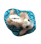 ウサギちゃん。学生さん向け。（個別スタンプ：6）