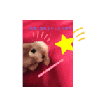 ウサギちゃん。学生さん向け。（個別スタンプ：8）