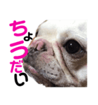 我が家のスケくん（個別スタンプ：3）