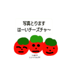 オールスター新野菜（個別スタンプ：33）