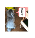 トイプーのT君（個別スタンプ：2）