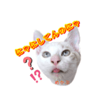 めかぶ1（個別スタンプ：4）