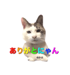 めかぶ1（個別スタンプ：7）