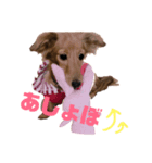 ありあのきもち。（個別スタンプ：1）