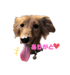 ありあのきもち。（個別スタンプ：6）