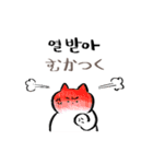 ポドンポドン 猫 (日本語 ＆ 韓国語)（個別スタンプ：38）