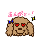個性的なプードル家族（個別スタンプ：2）