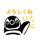 マゼランペンギンの毎日使えるスタンプ（個別スタンプ：5）
