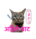 猫とネパール語4（個別スタンプ：19）