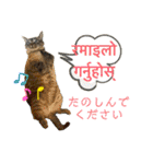 猫とネパール語4（個別スタンプ：22）