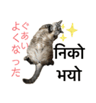 猫とネパール語4（個別スタンプ：27）