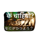 猫とネパール語4（個別スタンプ：32）